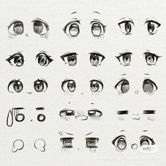 an image of various types of eyes drawn in pencil and ink on paper by hand