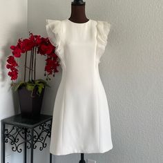 In New Excellent Condition. Lining Hundred Percent Soak, And Dress Has Large Amounts Of Silk As Well. Beautiful Lace Over The Shoulders In Front. White Fitted At Waist And Light Structured Dress. Fully Lined And Absolutely Stunning. A Very Luxurious Dress. I Am A Size 4 And It Fits Me Fine. White A-line Sleeveless Dress For Date Night, White Sleeveless Knee-length Dress For Date Night, White Knee-length Sleeveless Dress For Date Night, White Sleeveless Knee-length Dress With Ruffles, White Feminine Sleeveless Cocktail Dress, White Sleeveless Feminine Cocktail Dress, Feminine White Sleeveless Dress For Cocktail, White A-line Sleeveless Dress With Ruffles, White Sleeveless Knee-length Dress For Brunch