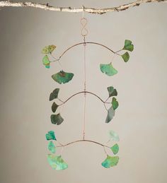 a wind chime hanging from a tree branch with green leaves on it's side