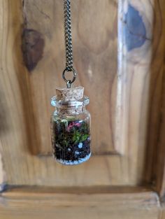 Terrarium bottle necklaces. They have an antique colored chain and need to be watered once a month. They are very easy to care for. note: I'm not responsible if the product dies in shipping, but it shouldn't since shipping is fast. Flower Bottle Necklace, Jar Necklace Ideas, Terrarium Jar, Mini Terrarium, Bottle Necklace, Witchy Woman, Dream Jewelry, Crystals And Gemstones, Terrarium