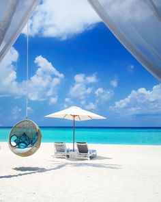 two chairs and an umbrella sit on the beach under a canopy, with blue water in the background