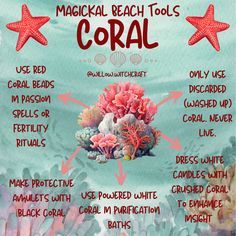 a poster with corals and starfish labeled in different languages, including the words'magic beach tools coral '