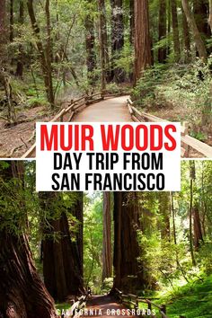 two pictures with the words mur woods day trip from san francisco