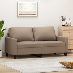 a living room scene with focus on the couch and plant in the corner near the wall