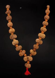 Product Name :  Gayatri Siddha Combination - Nepal Design : All the Rudraksha are Strung In knotted Style in strong thread and finally attach with strong silver chain. This siddha mala having 1 Mukhi Till 18 mukhi Gauri Shankar and Ganesha Rudraksha From Nepal origin . Configration : 1 mukhi Savar Rudraksha , Dimension : 20 mm - 22 mm 2 mukhi , 3  mukhi Rudraksha - Dimension : 18 mm - 20 mm 4 mukhi , 5 mukhi , 6 mukhi , 7 mukhi , 8 mukhi , 9 mukhi , 10 mukhi  , Ganesh Rudraksha - Dimension : 22 mm 11 mukhi , 12  mukhi , 13 Mukhi , 14 Mukhi - Dimension : 24 mm - 25 mm 15 mukhi , 16 mukhi , 17 Mukhi , 18 Mukhi - Dimension : 24 mm - 27 mm Gouri Shankar rudraksha - 30 mm - 32 mm The Gayatri Siddha mala is made of 1 Mukhi Savar -18 Mukhi Nepali Rudraksha. The Gayatri Siddha Mala is an extremely Traditional Brown Mala For Rituals, Traditional Hand Knotted Mala For Rituals, Traditional Festive Mala For Meditation, Navratri Puja Cutdana Mala, Traditional Mala For Meditation With Latkans, Traditional Mala With Latkans For Rituals, Traditional Brown Mala For Festivals, Festival Rituals Mala With Cutdana, Traditional Mala For Rituals And Festivals