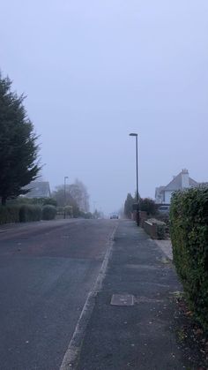 an empty street with trees and bushes on both sides in the foggy day,