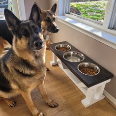 two german shepherd dogs sitting in front of their food bowls and looking out the window