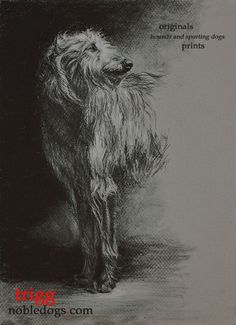 a drawing of a dog standing in front of a black and white background with words written below it