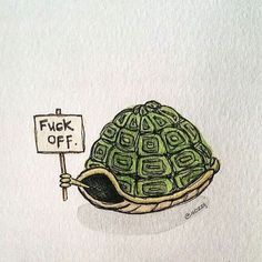 a drawing of a tortoise holding a sign that says f / vk off