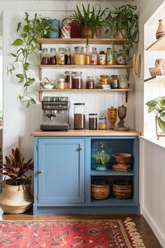 a blue cabinet with plants and other items on it