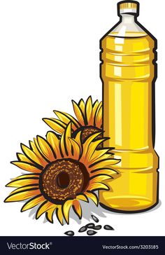 a sunflower next to a bottle of oil on a white background with clippings