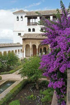 purple flowers are blooming in front of a white building with arches and windows on the side