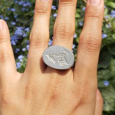 This signet ring is cast in lead-free pewter. The ring size when cast is 7.25. The sealing image is Freyja riding her cat drawn chariot.       This is part of a series of signet rings I am making cast from lead-free pewter. Each master ring is hand sculpted to give a unique, rustic style, multi-dimensional relief image when used as a stamp to seal, with sealing wax. Multi Dimensional, Signet Rings, Sealing Wax, Wax Seal, Cat Drawing, Wax Seals, Signet Ring, Rustic Style, Beauty Book