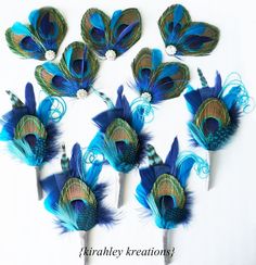 six peacock feathers are arranged on top of each other