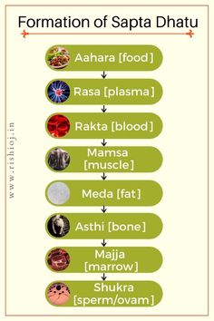 Body In English, Ayurveda Hair Care, Yoga Chart, Ayurvedic Massage, Nursing Mnemonics, Indian History Facts