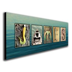 four different types of sea life displayed on a wall