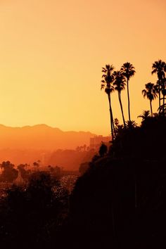 the sun is setting behind palm trees in front of a cityscape and mountains