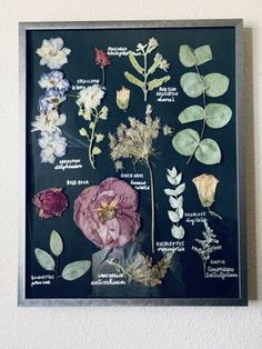 an assortment of flowers displayed on a wall