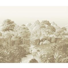 Tropical Jungle Landscape Wall Mural in Green/Beige Ananbo Wallpaper, Panoramic Wallpaper, Sepia Color, Paris Images, Wallpaper Online, Landscape Walls, Scenic Landscape, Vintage Wallpaper, Wallpaper Samples