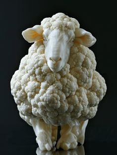 a statue of a sheep made out of cauliflower on a black table top