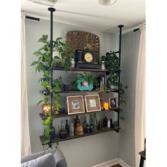 a living room filled with lots of plants and pictures on the wall next to a couch