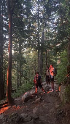 two people hiking up a trail in the woods