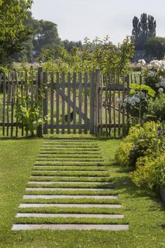 a garden with steps leading up to the grass