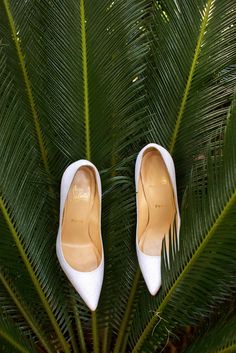 a pair of white shoes sitting on top of a palm tree