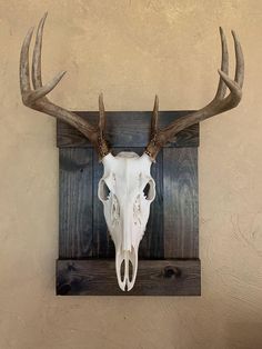 a deer skull mounted to the side of a wall