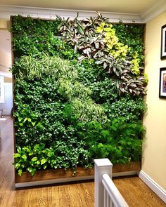 a living wall with green plants on it in a home entryway, surrounded by stairs and framed pictures