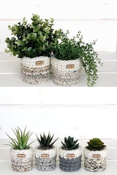 four different pots with plants in them