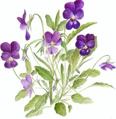 a painting of purple flowers with green leaves