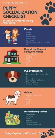 an info sheet showing the different types of dogs and their owners, including puppies