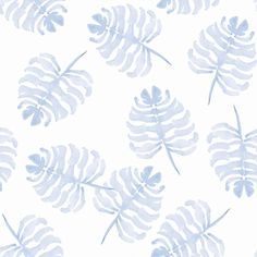 a blue and white wallpaper with palm leaves on the back drop in shades of light blue