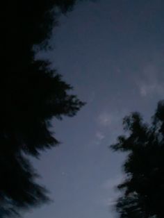 an airplane is flying through the night sky with trees in the foreground and clouds in the background