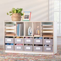 a book shelf filled with lots of books next to a potted plant on top of a rug