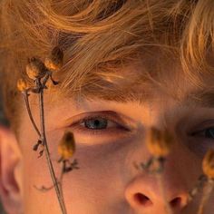 a close up of a person with flowers in their hair and eyes looking at the camera