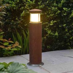 a light that is on top of a pole in front of some plants and bushes