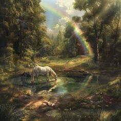 a painting of a white horse drinking water from a stream with a rainbow in the background