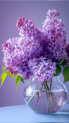 Ge Aldrig Upp, Purple Flowers Wallpaper, Wonderful Flowers, Flower Art Images, Lilac Flowers, Flower Phone Wallpaper