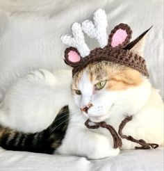 a cat wearing a crocheted reindeer hat on top of it's head