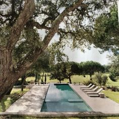 an outdoor swimming pool surrounded by trees and lawn chairs under a large oak tree in the foreground