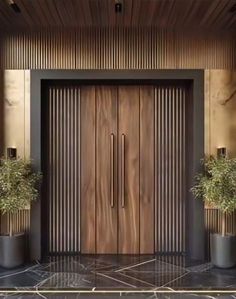 two potted plants sit in front of a wooden door