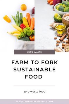 farm to fork suitableable food with the title zero waste guide on top and bottom