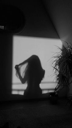 the shadow of a woman's head is shown in front of a window with a potted plant