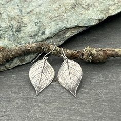 "You can't get any closer to nature than this. These earrings were crafted from a birch tree from our surrounding woods. The leaf is preserved and imprinted into the silver, so every one is unique, just as they are in nature. These earrings are sure to be a show piece and are perfect for anyone loving nature and the natural beauty of brilliant gold in the fall. All of my earrings are 99.9% fine silver and dangle on sterling silver ear wires. They come with a pair of clear rubber stoppers to insu Birch Leaves, Natural Inspiration, Birch Leaf, Show Piece, Closer To Nature, Birch Tree, Three Days, In The Fall, Fine Silver