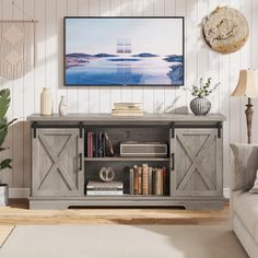 a living room scene with focus on the entertainment center