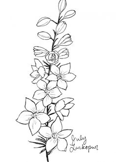 a drawing of flowers on a white background