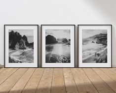 three black and white pictures hanging on a wall next to a wooden floor in an empty room