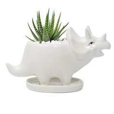 a white rhino planter with succulents in it